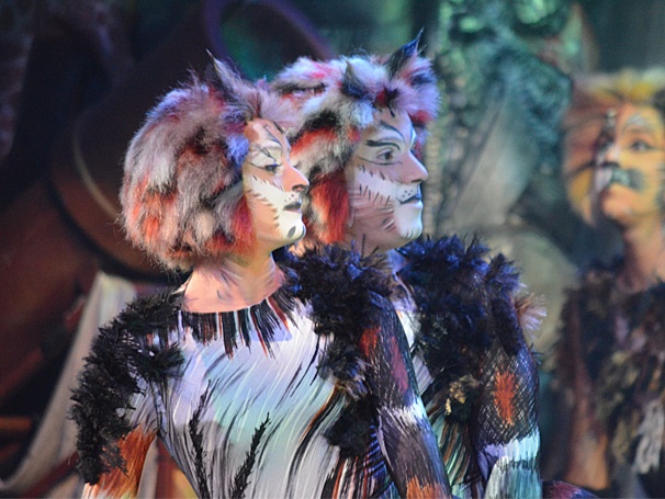 Eight Lives Left! Twin Characters Revived on Cats National Tour