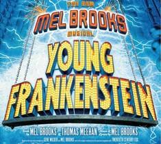 Young Frankenstein - Original Broadway Cast Recording