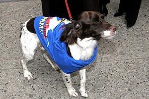 Spamalot Box Office Opening - dog