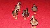 Memphis Opening - ducks