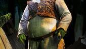 Ben Crawford gets his green on as the title character in Shrek the Musical.