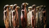 The Lion King - Show Photos - cast 6
