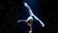 Show Photos - Cirque du Soleil's Banana Shpeel - cast 6