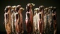 The Lion King - Show Photos - cast 6