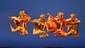 The cast of Lion King.