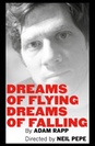 Dreams of Flying Dreams of Falling poster