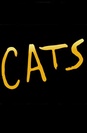 Cats poster
