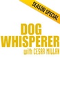 The Dog Whisperer - Cesar Milan